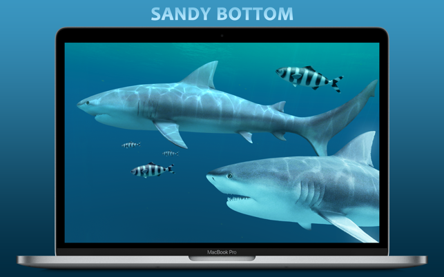 ‎Sharks 3D Screenshot