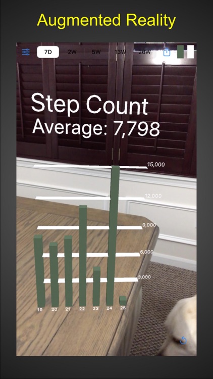 AR Steps