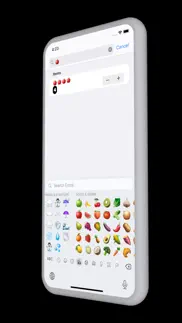 minimalist inventory iphone screenshot 2