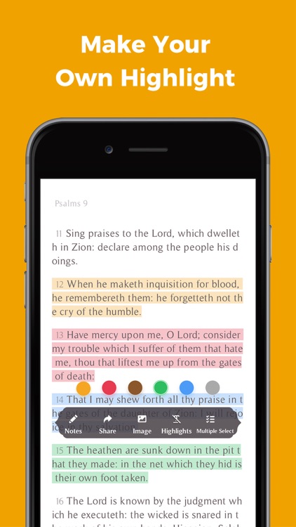 Bible-KJV Holy Bible App Free screenshot-3