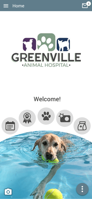 Greenville AH(圖1)-速報App