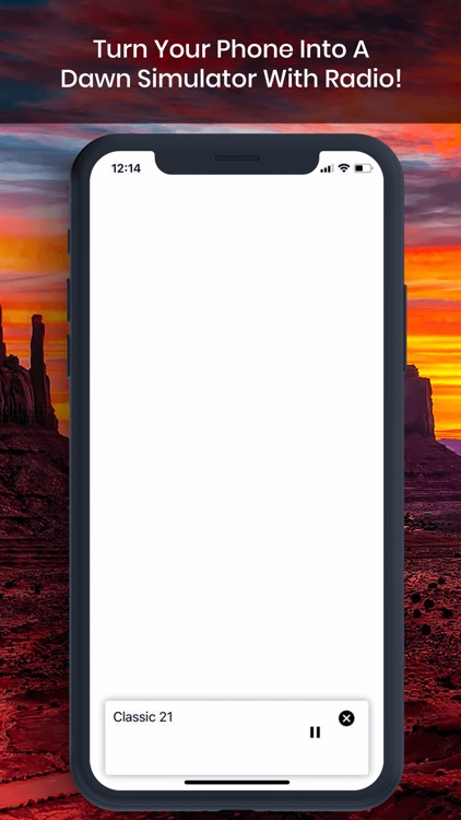 Dawn Simulator: Radio Alarm