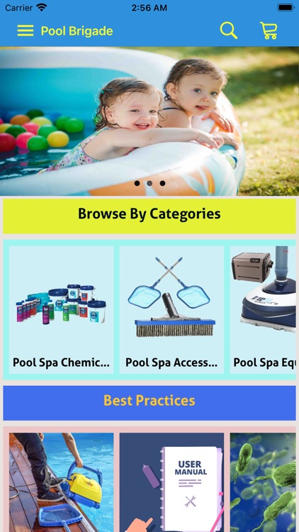 Pool Brigade International