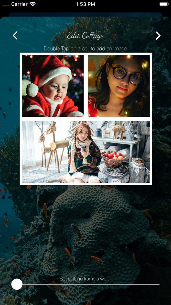 Picadilo Photo Editor