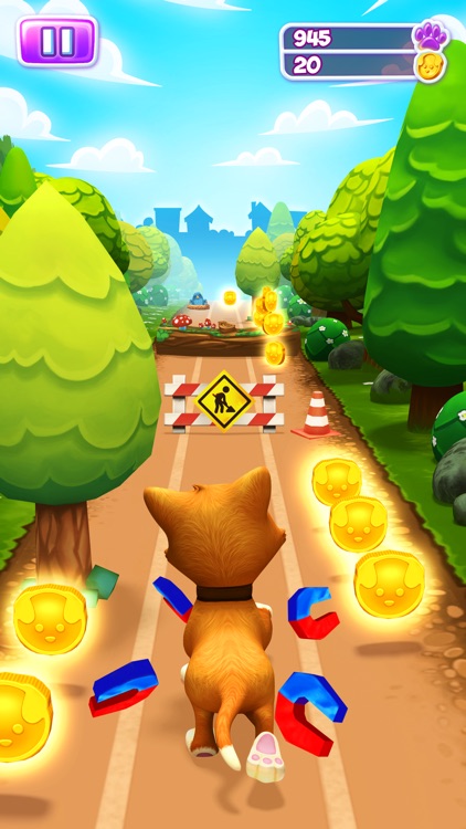 Pet Run - Puppy Dog Run Game screenshot-0