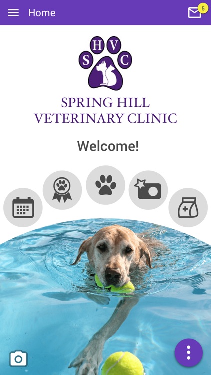 Spring Hill Vet