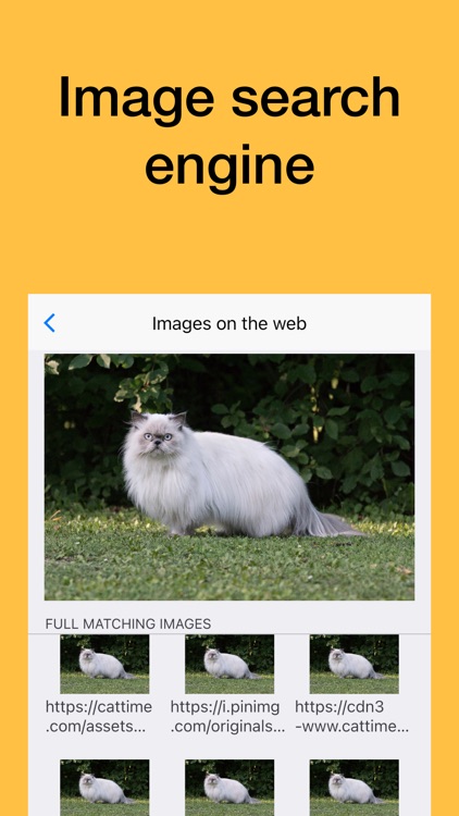 Reverse - image search: bind screenshot-9