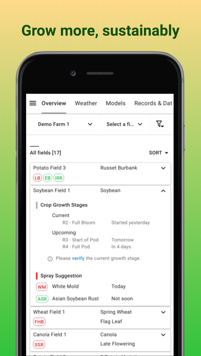 App preview