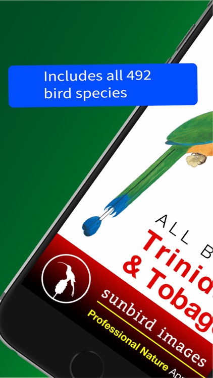 All Birds Trinidad and Tobago