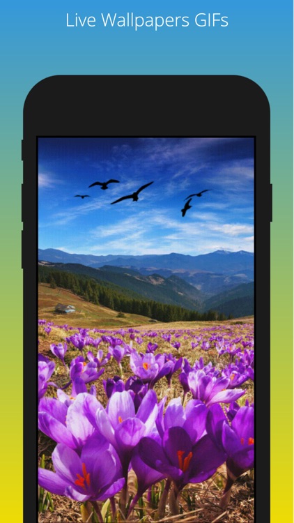 HD-live Wallpapers - Quotes screenshot-6