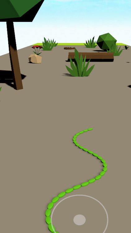 Snake Locomotion