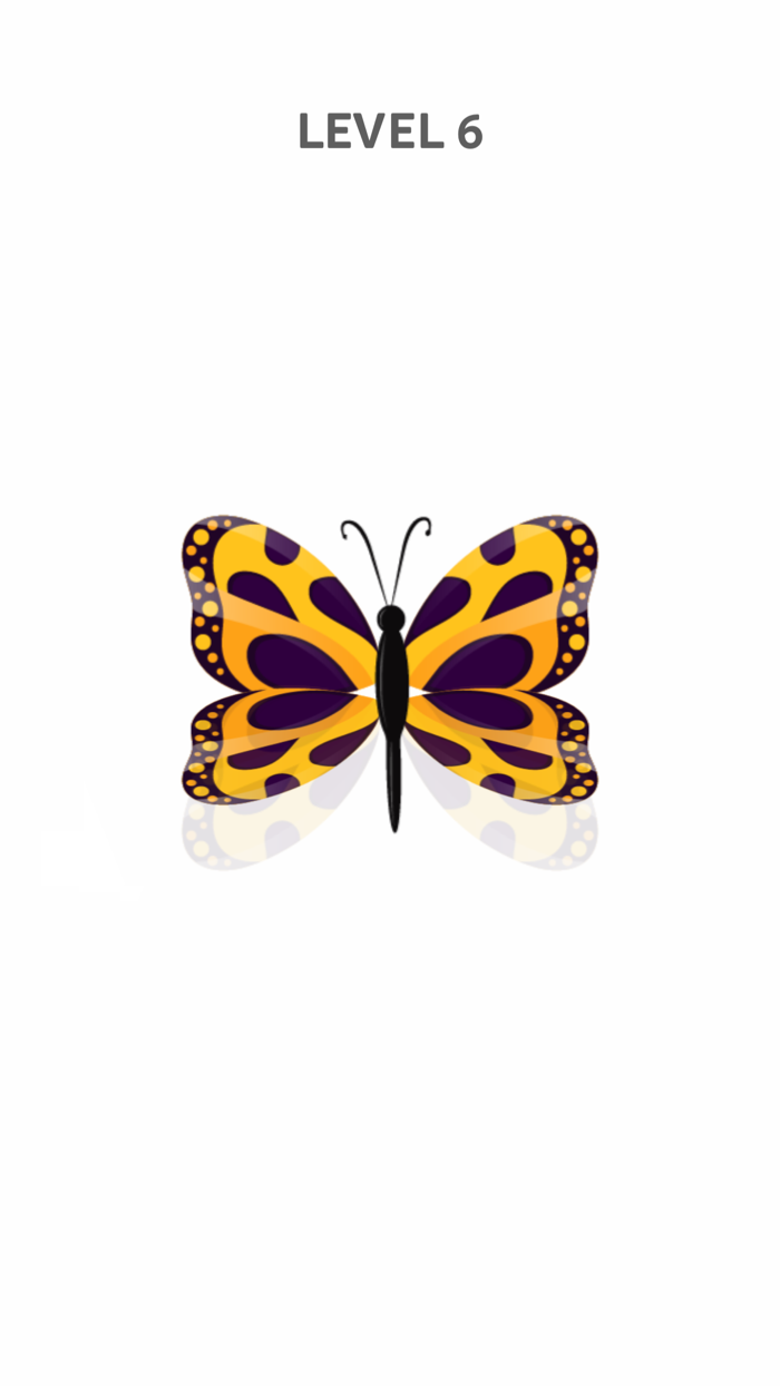 Fold puzzle