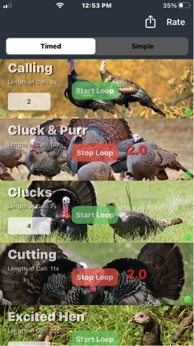 Wild Turkey Calls screenshot 4