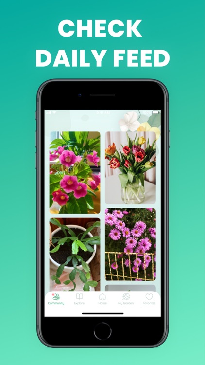 Plant identification and care screenshot-5