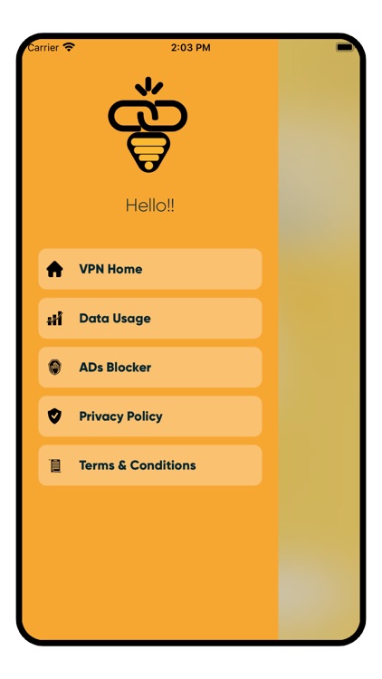 BeeVPN : Ultimate VPN Proxy screenshot-3