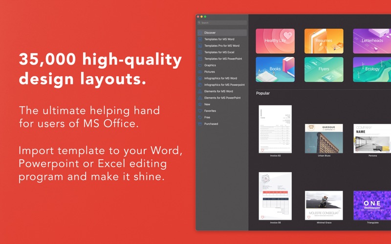 Microsoft Word Flyer Templates Free For Mac