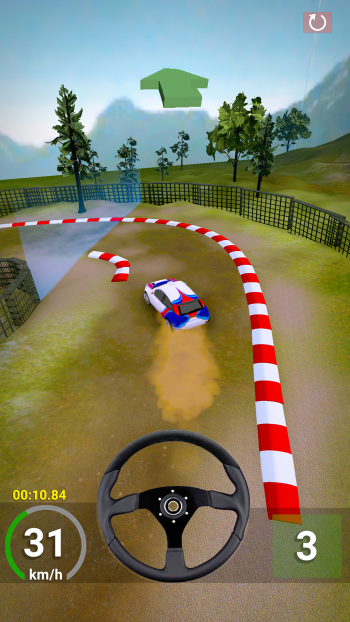RallyMaster 3D
