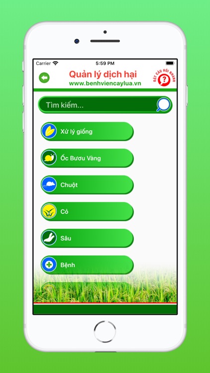 Bệnh viện cây lúa screenshot-6