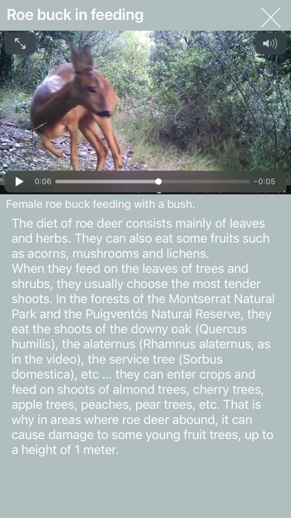 Nature Contents screenshot-3