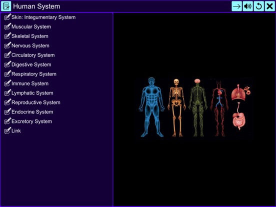 The Amazing Human System screenshot 2