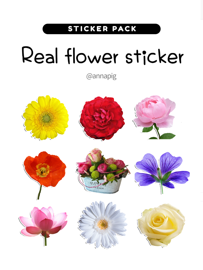 Real flower sticker