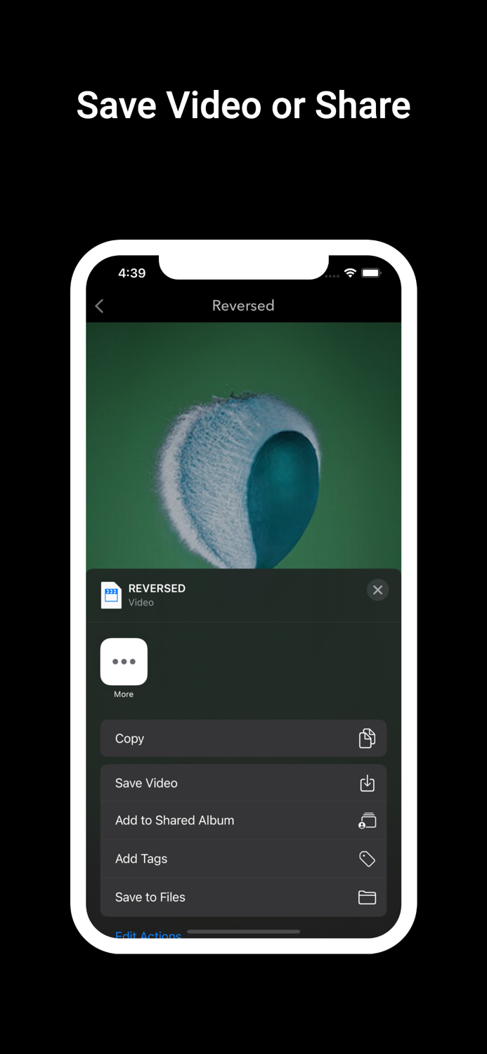 Reversed Play Video Back