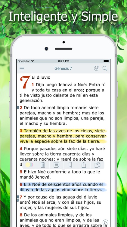 La Biblia Reina Valera Audio