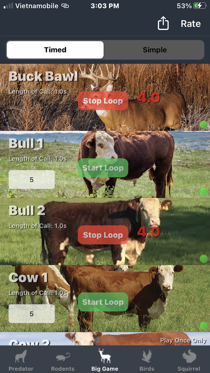 Predator and Squirrel Calls