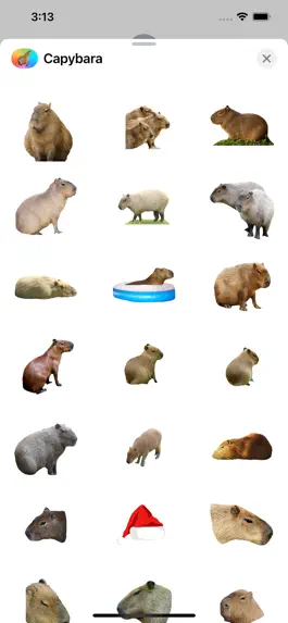 Game screenshot Capybara Stickers for Messages mod apk