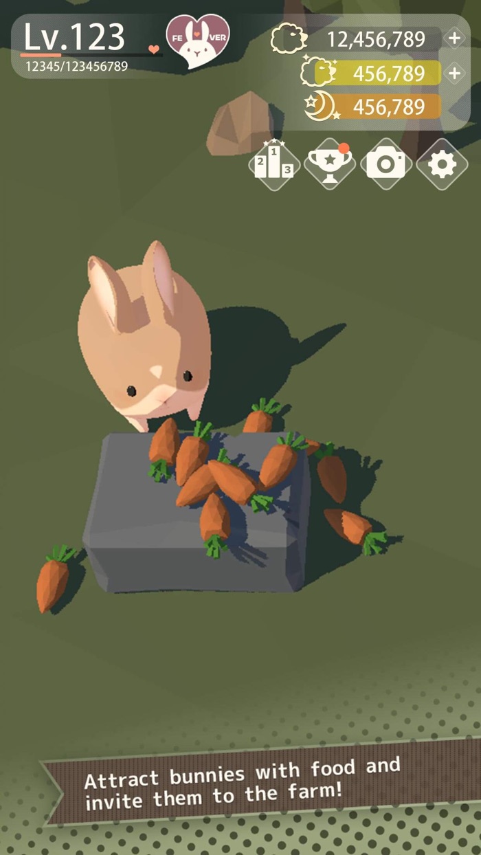 Bunny More Cuteness Overload