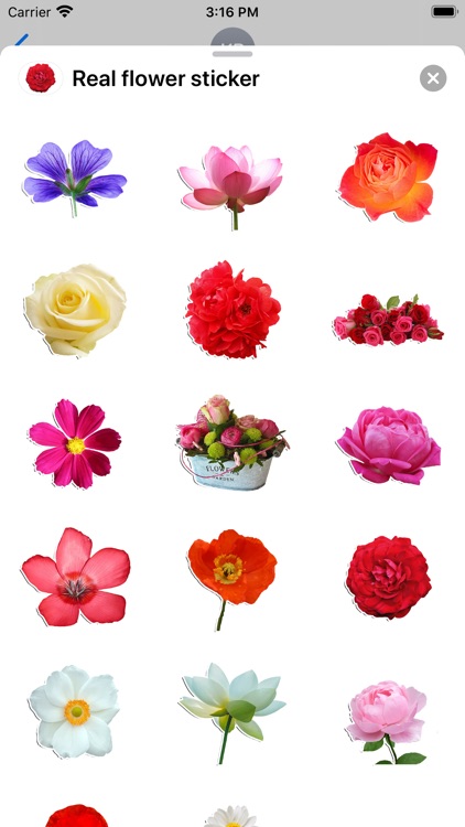 Real flower sticker