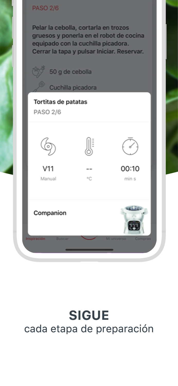 Companion de Moulinex