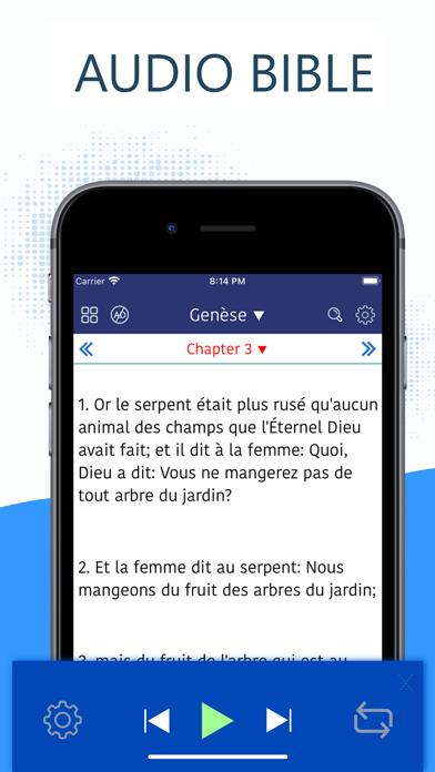 French Bible -La Bible LSV Pro screenshot 2
