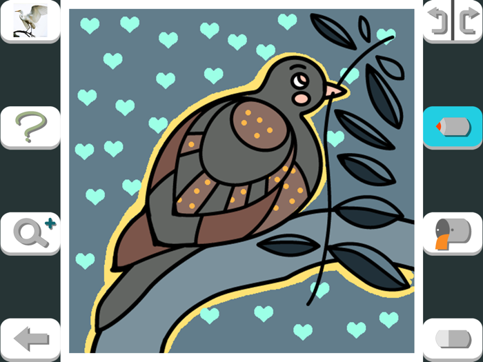 Birds of New Zealand