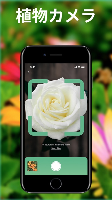 Plantr 植物の名前 植物写真 Iphoneアプリ Applion