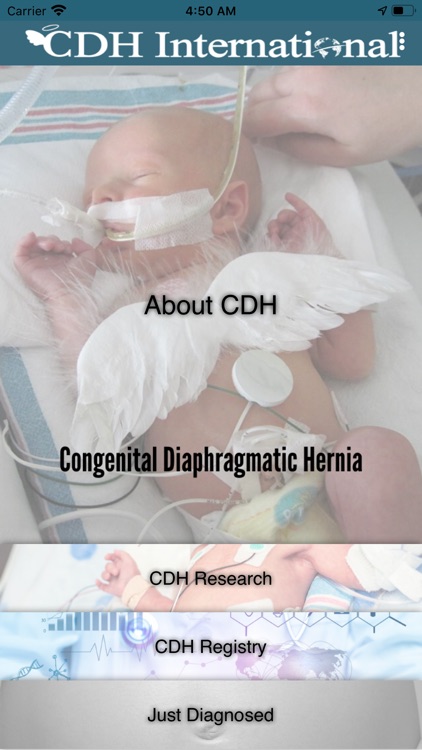 CDH International