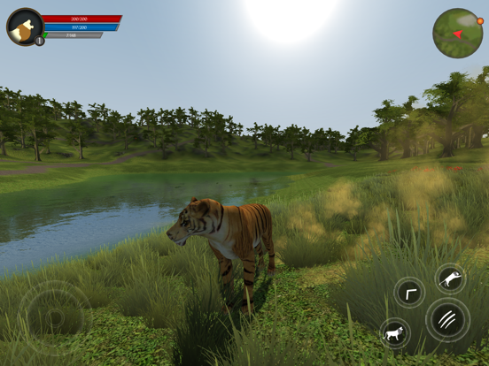 Asian Tiger Survival Simulator screenshot 2