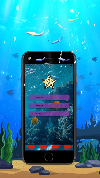 Ocean Blas ImaheScer