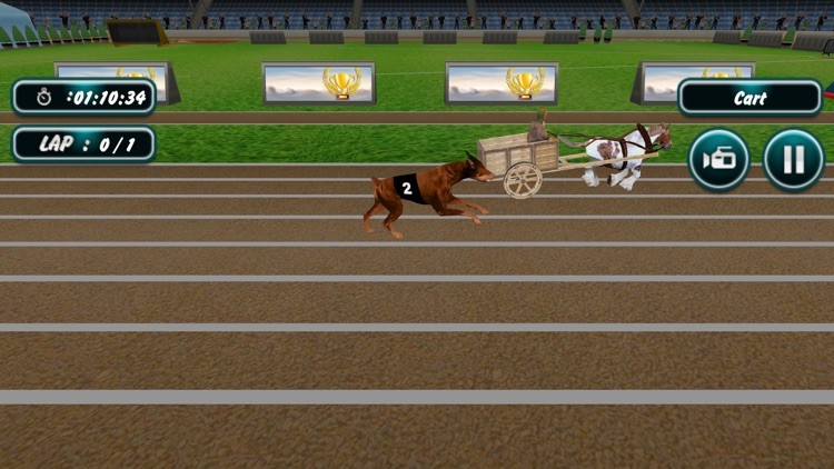 Dog Racing screenshot-3