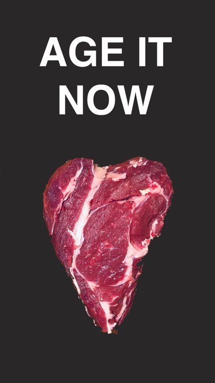 Dry Age Master