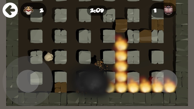 Bomber Animal Heroes screenshot-4