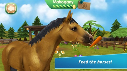 HorseHotel Premium screenshot 2