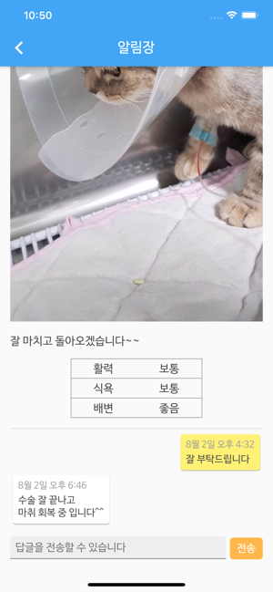 24시 수 동물병원(圖4)-速報App