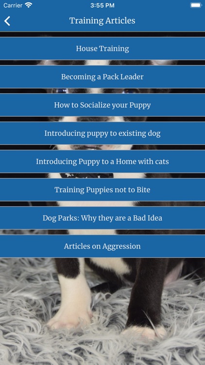 Ridgewood Puppies II screenshot-4