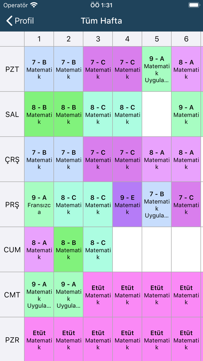 Özlem Çelen Akademi