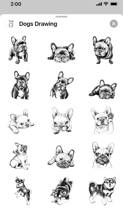 Dogs Drawing screenshot-4