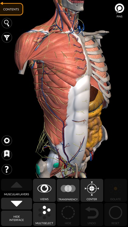 Anatomy 3D Atlas
