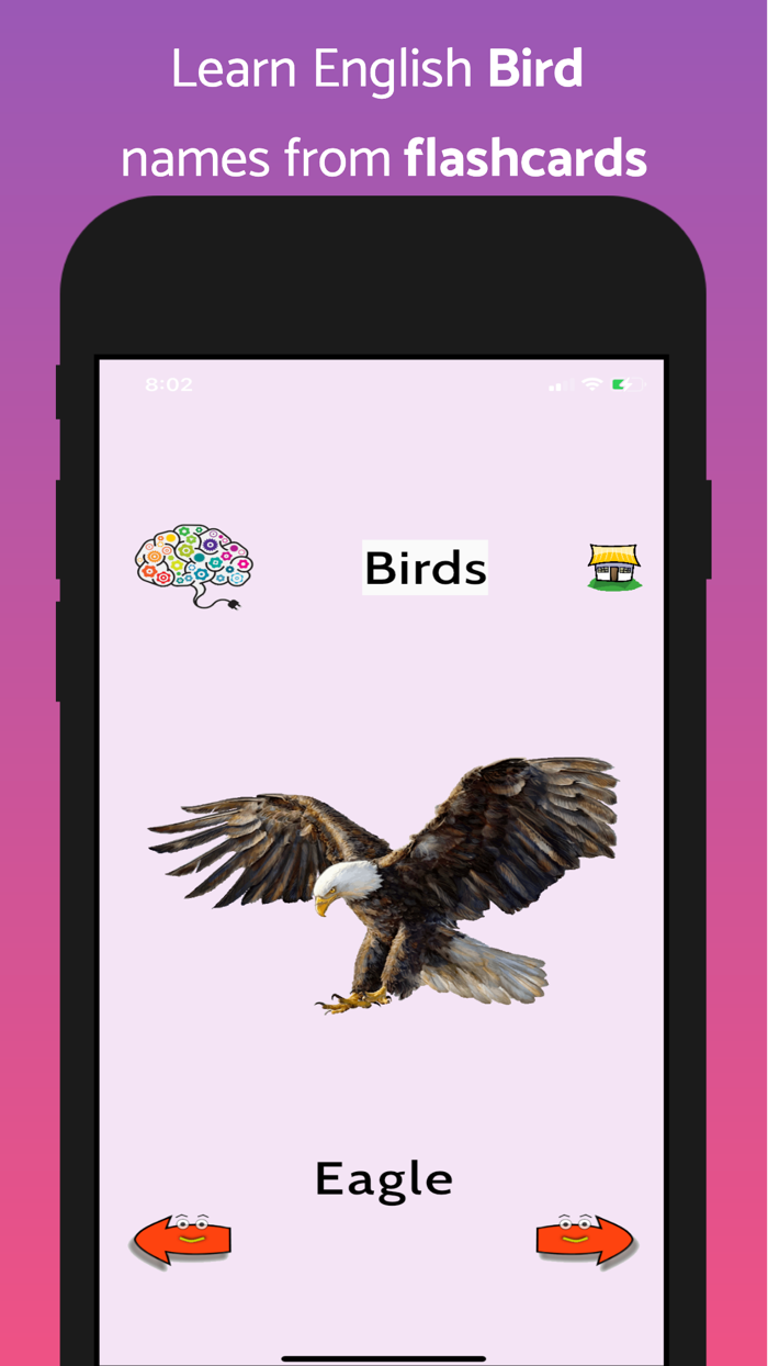 Learn English Flashcards