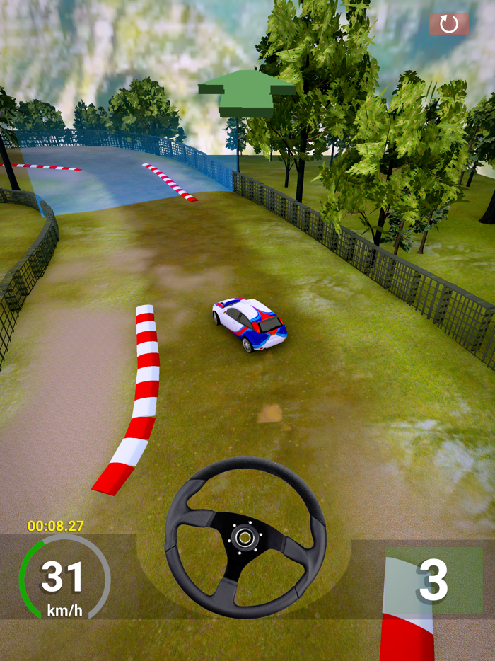 RallyMaster 3D