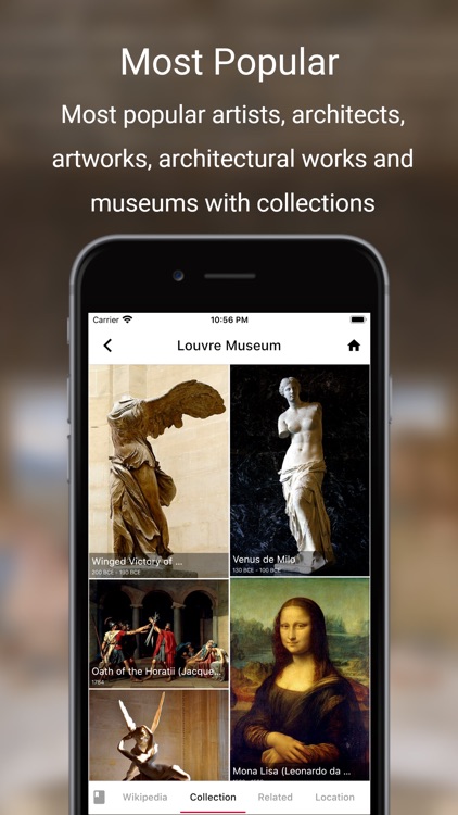 History of Art App screenshot-7